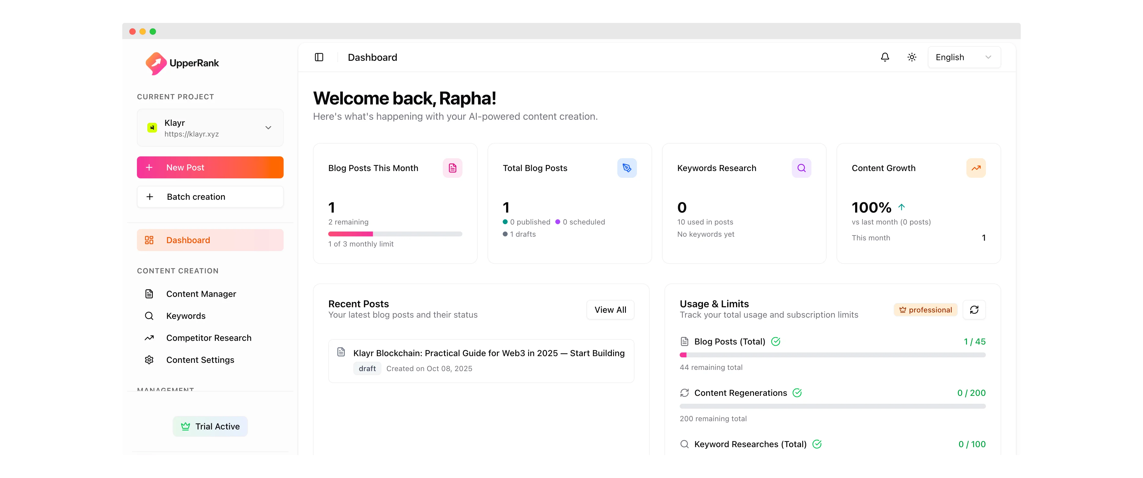SEO Dashboard showing ranking improvements and analytics